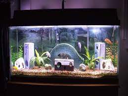 You might experience a couple of challenges if you try to create an entire scenery for a theme you have in mind. How To Create Aquarium Decoration Themes Fish Aquarium Decorations Fish Tank Decorations Unique Fish Tanks