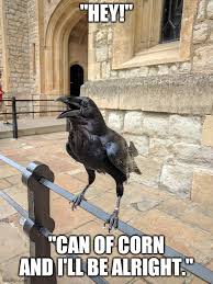 Crow Voice Hey Could You Drop That Meme Nlsscirclejerk