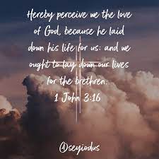 Cant help but sing when you read this shirt! Let Your Light Shine