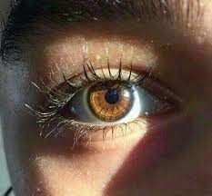 Eye Makeup With Mascara Eye Photography Aesthetic Eyes Pretty Eyes