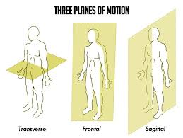 No Not The Plane That Flies Overhead But Planes Of Motion The Body Is Broken Down Into Sections Of Movement By Imagin Scoliosis Exercises Nasm Cpt Scoliosis