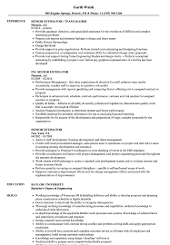 senior estimator resume samples