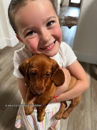 Snapshots of Summer '25 📷☀️🍉