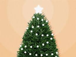 Check spelling or type a new query. Where To Buy Real Christmas Trees Online Home Depot Lowe S Target