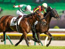 芸能人 競馬予想 ウイニング競馬予想 東スポ 虎石予想 スポニチ 万哲予想 競馬展望プラス 予想 海外競馬 交流g1 予想成績 未分類. S0zijw53qhkmbm