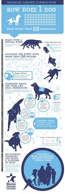 You could either train your dog yourself or enroll them in a dog service training program. How To Make Your Dog A Service Dog Clarifying The Confusion