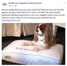 We have all the best products for your pet, visit our store today! B G Martin Customer Reviews B G Martin
