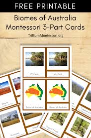 Frequently used sight words flash cards montessori puzzle words. 590 Montessori Free Printables Downloads Ideas In 2021 Montessori Montessori Printables Montessori Activities