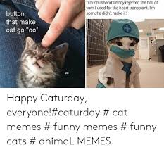 All aboard the caturday train (45 cat memes). 25 Best Memes About Caturday Cat Caturday Cat Memes