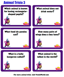 Summer Trivia For Kids Swanton Public Library