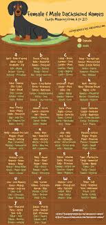 Dogs usually hear the first syllable. Mollie S Favorite Female And Male Dachshund Names With Meaning From A To Z Puppies Names Female Names With Meaning Female Dog Names