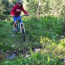 Werbung Pr Sample Mit Woombikes Durch Den Wald Noch Immer Ist Erik Ganz Begeistert Von Seinem Neuen Fahrrad Ab Montag Haben Wir In 2020 Mom Life Wald Abs