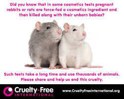 Did You Know That In Some Cosmetics Tests Pregnant Rabbits Or Rats Are Force Fed A Cosmetic Ingredient And Then Killed Along With Their U Animals Pet Rats Pets