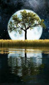 Senza Titolo Moon Photography Beautiful Moon Beautiful Nature Wallpaper