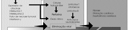 Check spelling or type a new query. Http Rmmg Org Exportar Pdf 1352 V15n3a09 Pdf
