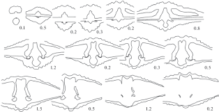 North and south (album) , album de gerry rafferty. Devonian And Carboniferous Brachiopods And Biostratigraphy Of Transcaucasia Ending Springerlink