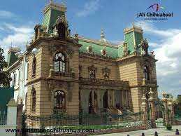 Pin En Tips Chihuahua