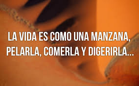 Resultado de imagen de hermosas frases