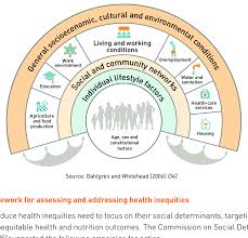 The Main Determinants Of Health Download Scientific Diagram Social Determinants Of Health Health Health Science