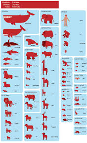 Pin By Terence Hilts On Yasam Hayat Ve Hikaye Animal Science Zoology Mammals