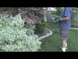 Compare prices & read reviews. How To Apply Milorganite Fertilizer Milorganite Fertilizer Milorganite Fertilizer