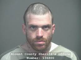 RAINEY, BRIANA NICHOLE Charges: DOMESTIC ASSAULT This information and more  is available https://apps.myocv.com/share/a95737804