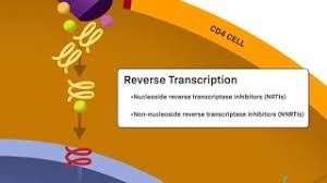 Image result for Non-Nucleoside Reverse Transcriptase Inhibitor