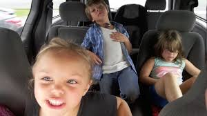 Leaving painted rocks at animal hospital