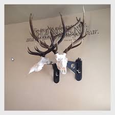 Check spelling or type a new query. Looking For Ideas On Euro Skull Hangers Taxidermy Monster Muleys Community