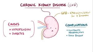 Disease of the kidney can be generally classified as acute or chronic. Chronic Kidney Disease Osmosis