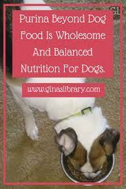 Purina Beyond Dog Food Is Wholesome And Balanced Nutrition For Dogs Dog Food Recipes Healthy Dog Food Recipes Gourmet Dog Food