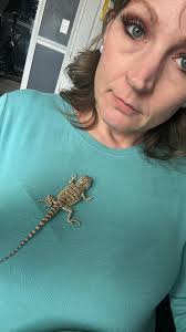 Is your rya girl hiding and not eating normally?