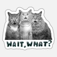 Shocked Face Stickers | Unique Designs | Spreadshirt