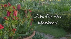 Our careers are earning honors from forbes to top workplaces. Bbc Gardeners World Jobs For The Weekend Facebook