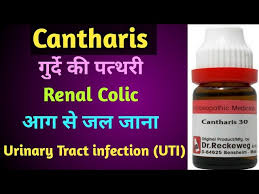 (**contains 0.443 mg of the active ingredient per pellet). Damiana Q Ii Damiana Homeopathic Medicine By Homoeopathy The Nature S Gift