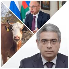 Bakı-Sumqayıt yolundakı qəzada ölən və yaralananların adları məlum oldu