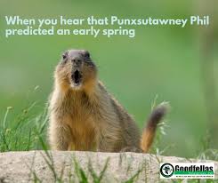 Punxsutawney Phil Didn T See His Shadow On This Year S Groundhog Day Which Means We Might Have An Ear In 2020 Landscape Maintenance Spring Lawn Care Punxsutawney Phil