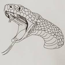 Open Mouth Realistic Snake Drawing That, sir, is a stunning piece of 3d art. best way drawing blogger