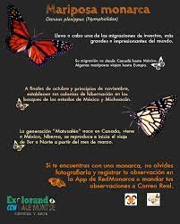 Pin En Infografias De Animales