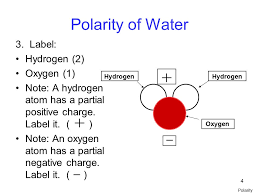 Oxygen atoms have 6 valency electrons and therefore require two more electrons to achieve the stable octet arrangement. 1 2 Review Of Water Basics 1 What Is The Chemical Formula For Water Polarity H2oh2o Note Hydrogen Atoms And Oxygen Atoms Are Not Red Or White In Real Ppt Download