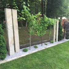 Weinreben Fur Den Garten Der Woche Von Unsere Weinreben Garten Pinterest Garten Garten Ideen Und In Weinreben Fur Den Garten En 2020 Idees Jardin Amenagement Jardin Jardins Verticaux