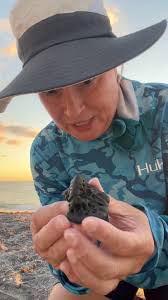 Look Look 👀🥳💃🐊