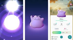 Pokémon go players are reporting higher ditto spawn rates near schools, universities, libraries, stadiums, businesses and march 09, 2021. How To Catch Ditto In Pokemon Go May 2021 Imore