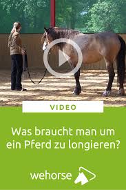 Was Braucht Man Um Ein Pferd Zu Longieren Pferd Videos Pferde