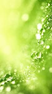 Green grass background png download 1200625 free. Jutaan Gambar Png Latar Belakang Dan Vektor Untuk Muat Turun Percuma Pngtree Latar Belakang Gambar Hijau