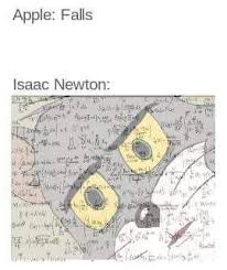 A Small But Powerful Dump Of 17 Funny Memes Funny Gallery Funny Memes Stupid Memes Memes