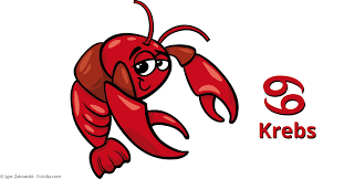 Typische eigenschaften vom sternzeichen krebs. Krebs Partner Wer Passt Zum Sternzeichen Krebs