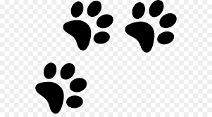 Paw Bichon Frise Pointer Kopek Siyah Ve Tan Coonhound Kucuk Resim Pati Izleri Seffaf Png Goruntusu
