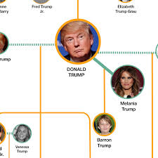 the entire donald trump family tree in one graphic vox