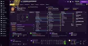 Youssoufa moukoko profile in football manager 2021. Who Are The Most Improved Players In The Winter Update Football Manager 2021